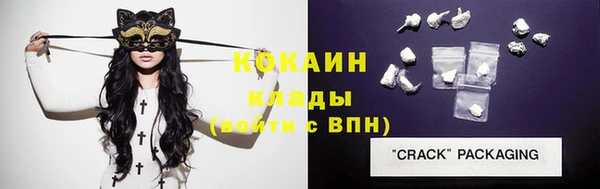 прущие крисы Няндома