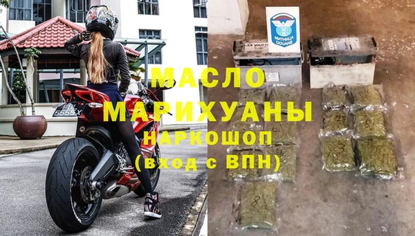 индика Осинники